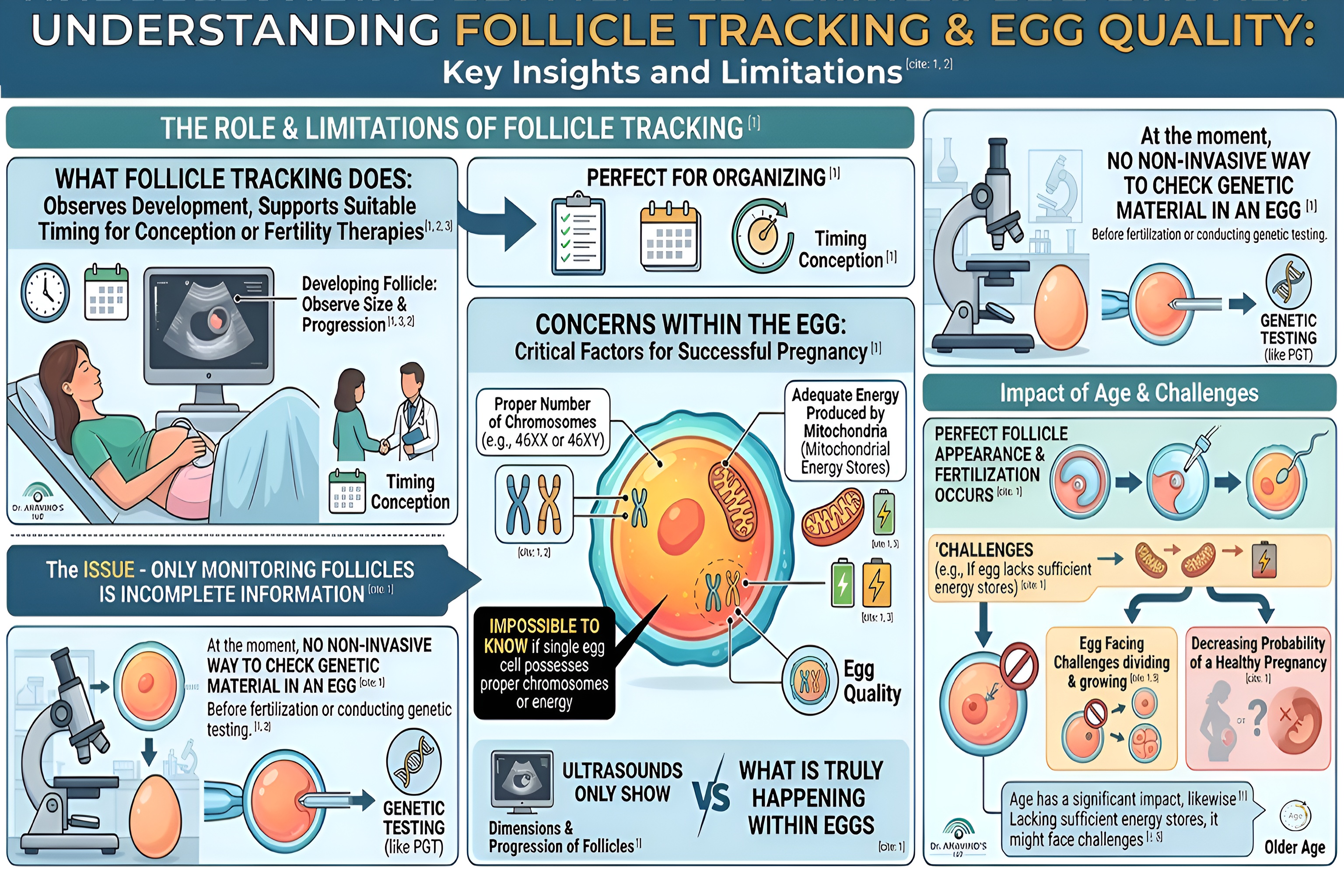 The Impact of Age on Egg Quality: Follicle Tracking