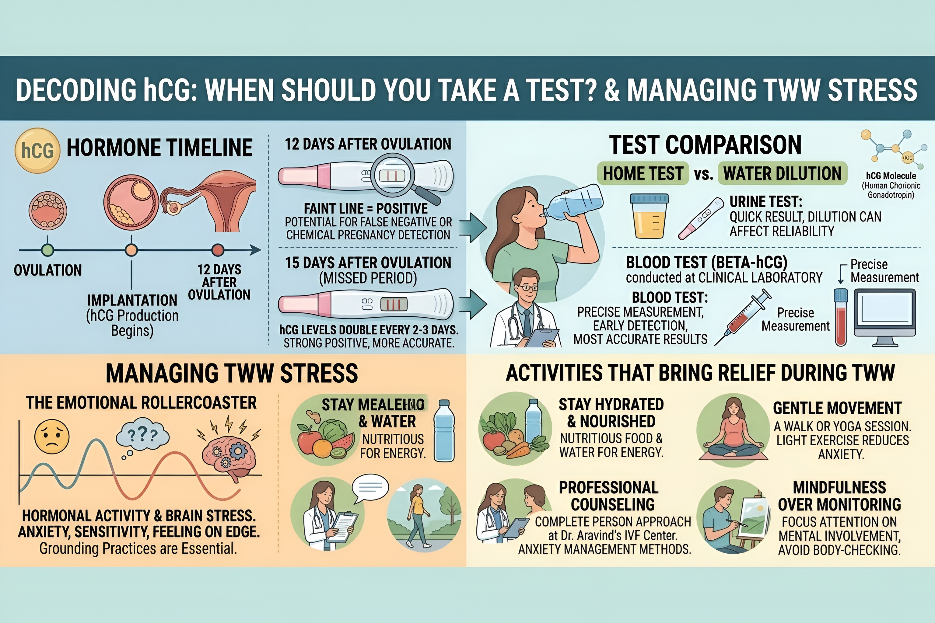 A Complete Guide to the Two-Week Wait: Understanding Your Fertility Journey