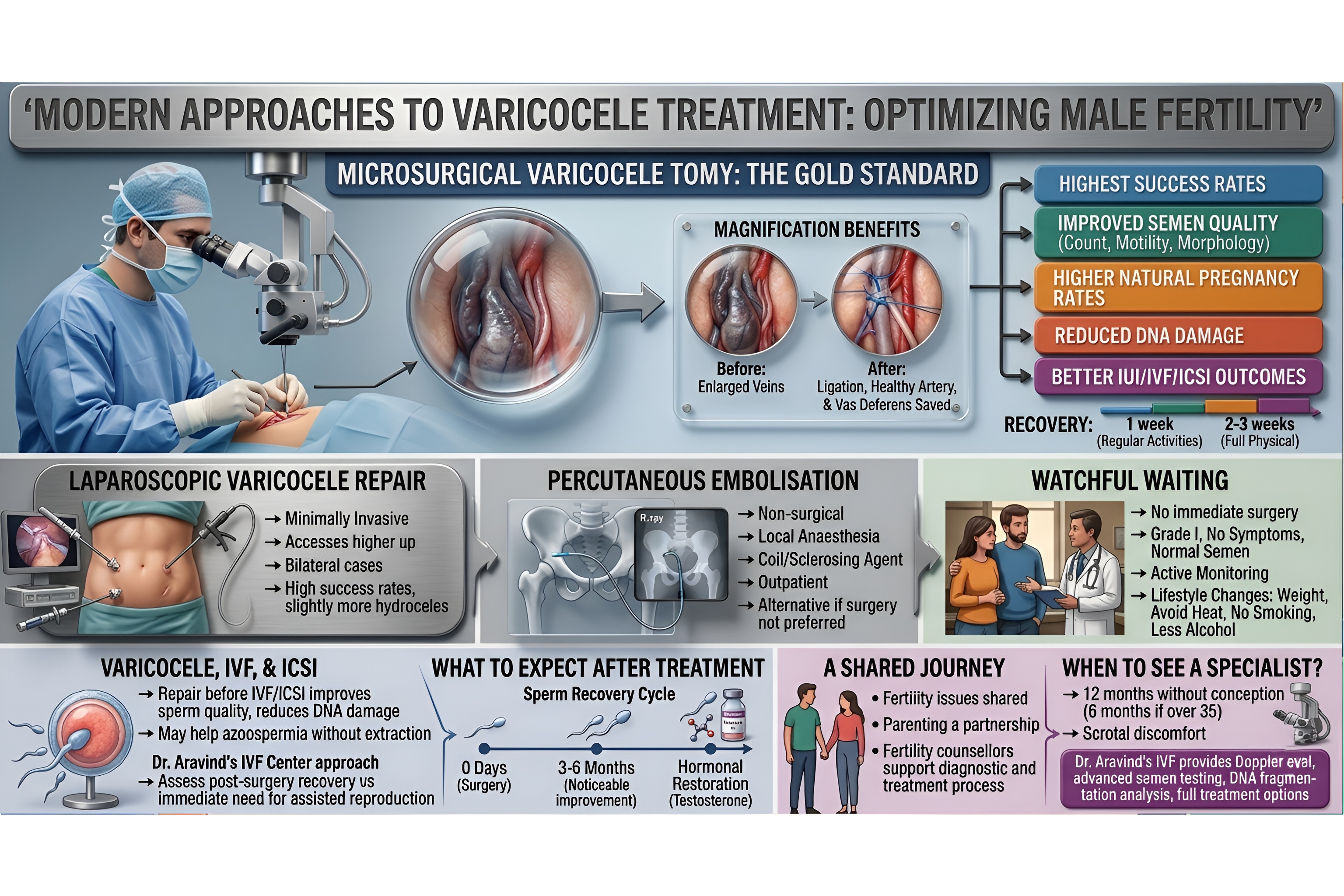 Varicocele and Male Fertility: Diagnosis and Treatment Options