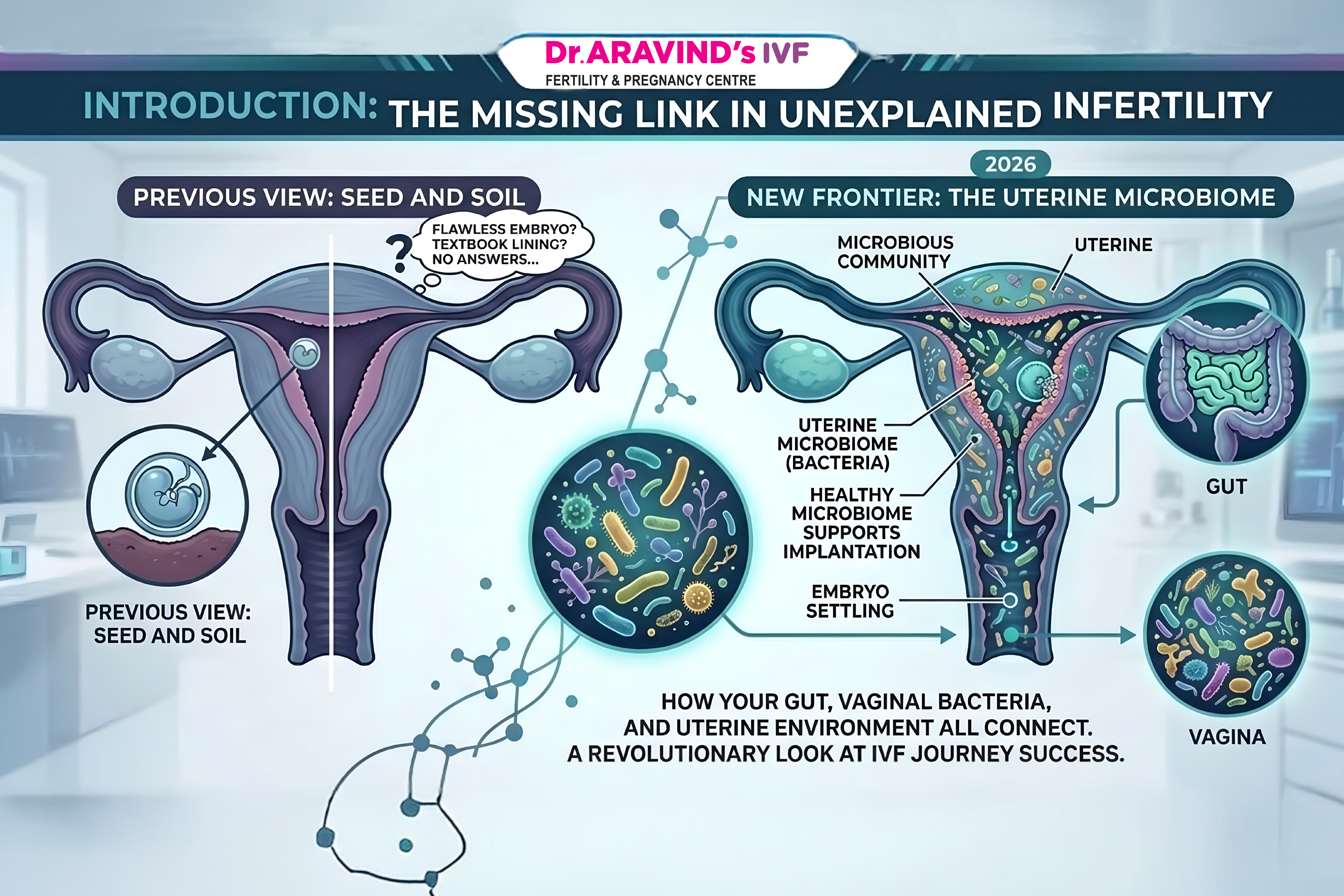 IVF and the Uterine Microbiome: How Gut Health Affects Implantation Success