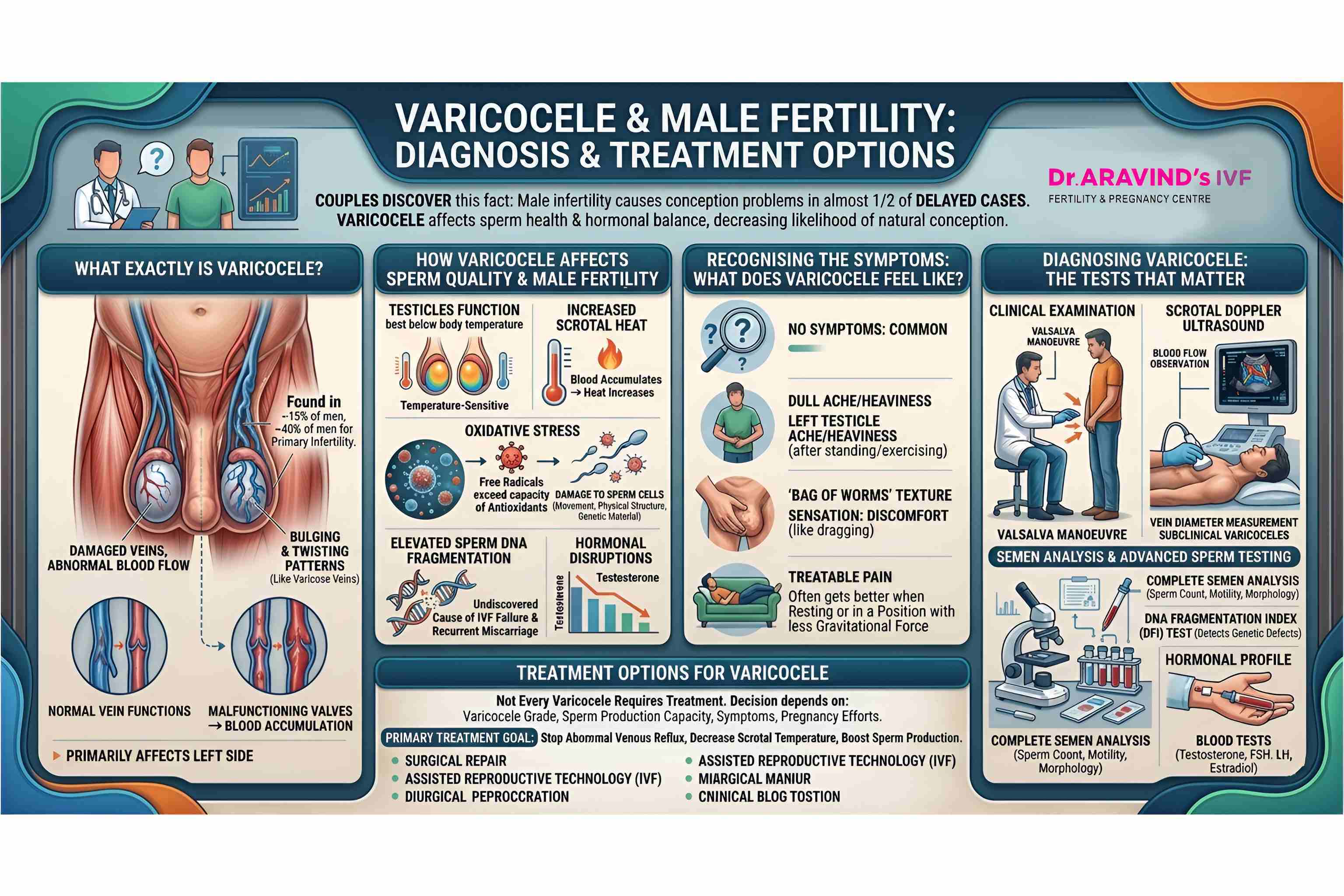 Varicocele condition in male reproductive system affecting fertility