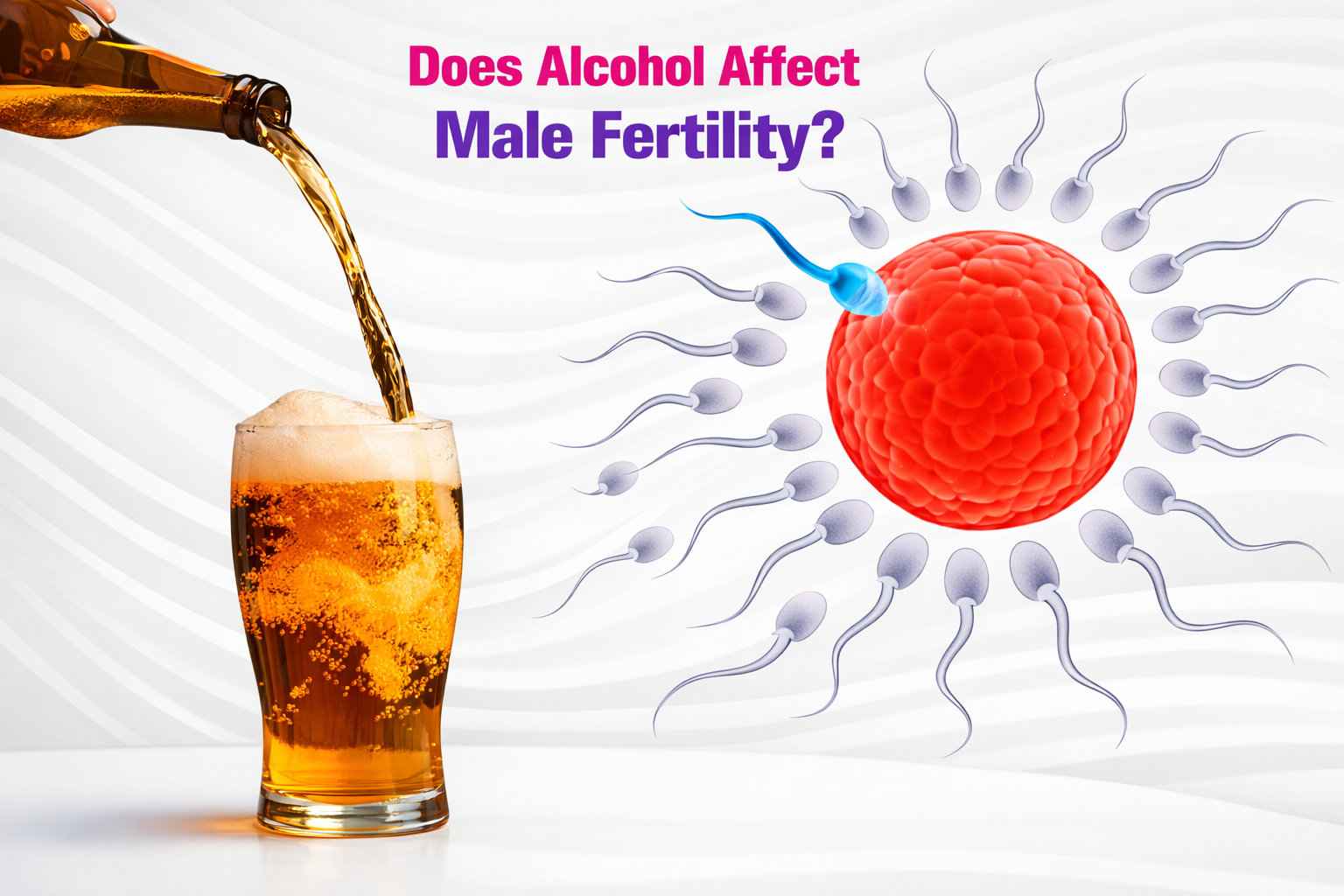 Effect of alcohol on sperm quality and male fertility illustration