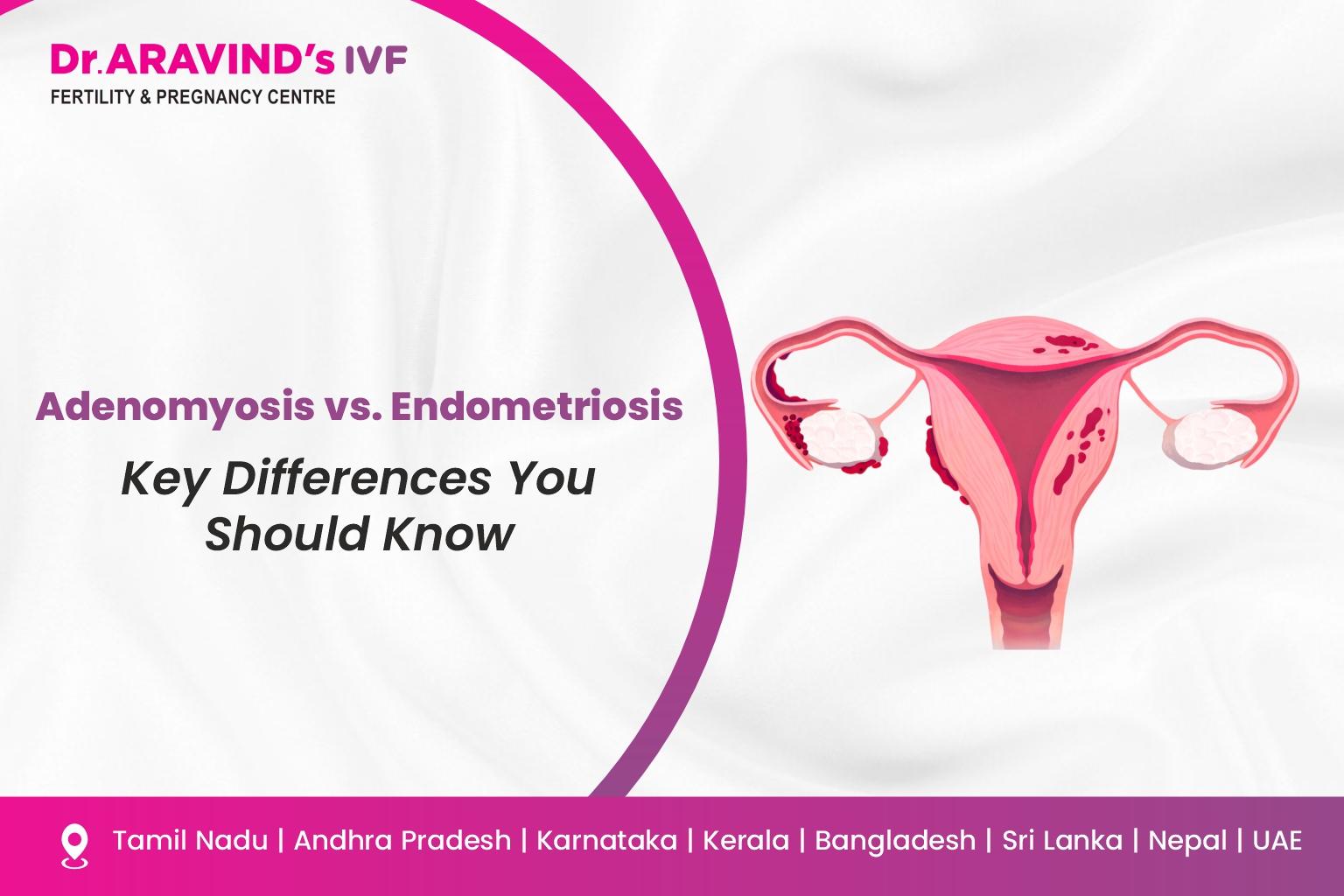 difference between adenomyosis and endometriosis illustration