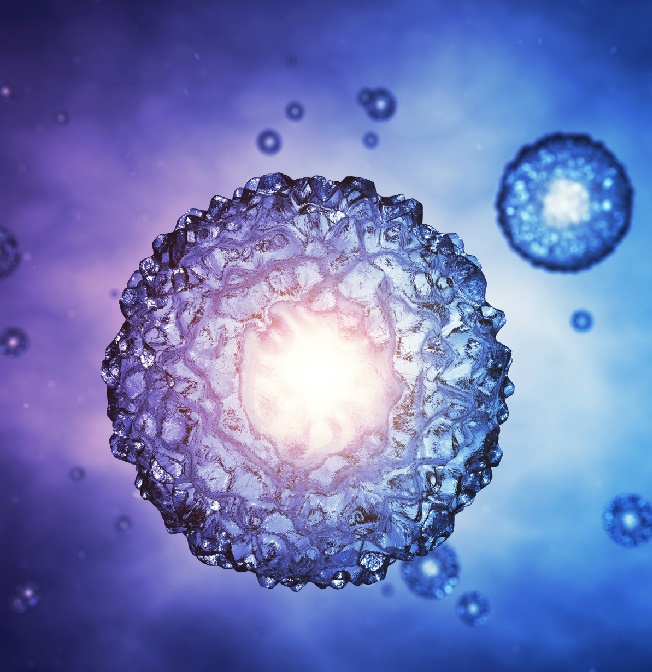 Frozen Embryo Transfer